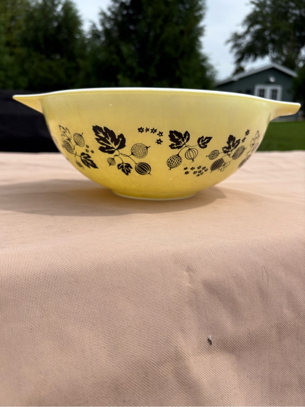 Vintage Pyrex gooseberry, Cinderella bowl yellow and black style 444 4quart